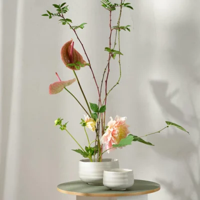 Moribana-hasu_540x Bowl, hasu