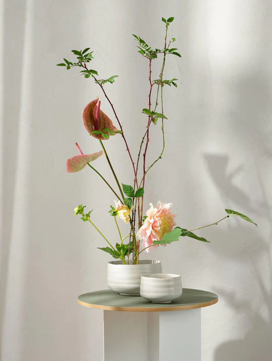 Moribana-hasu_540x Bowl, hasu