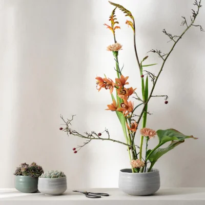 Moribana-ishi-matsu_540x Bowl, ishi