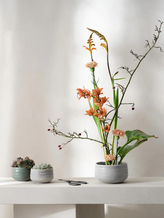 Moribana-ishi-matsu_540x Bowl, ishi